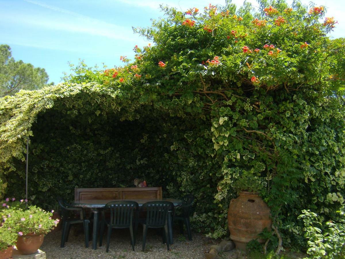 B&B Il Poggetto Montespertoli Exterior photo