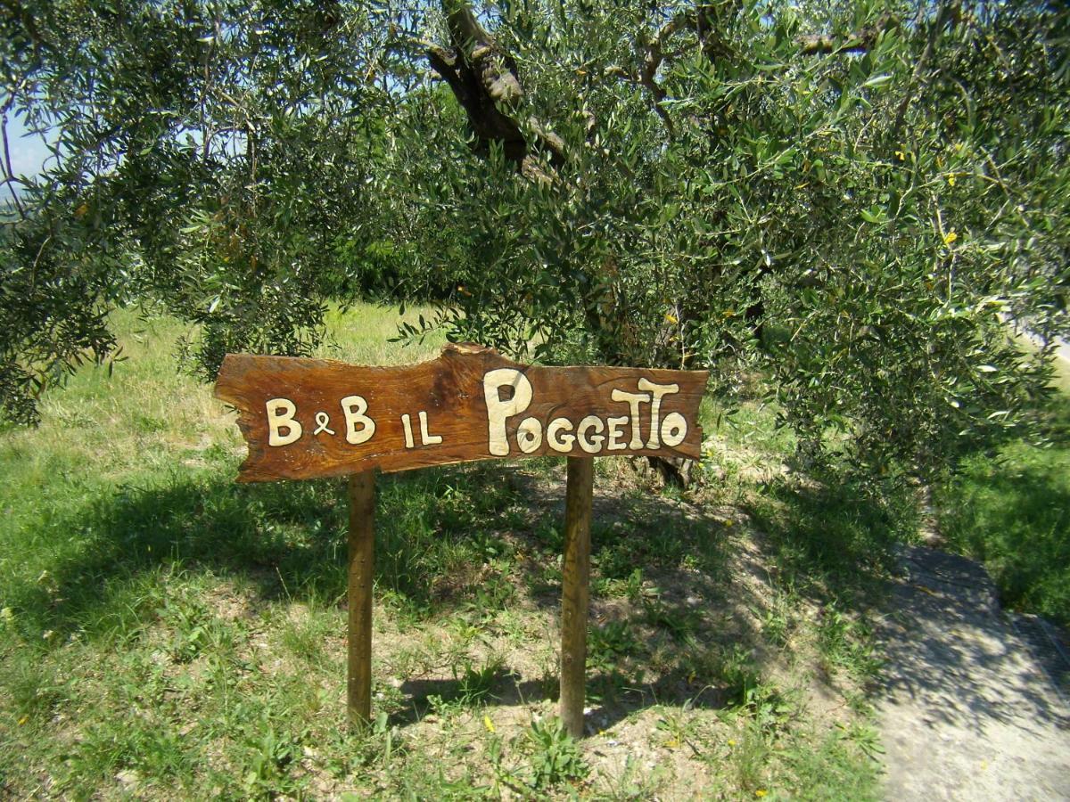 B&B Il Poggetto Montespertoli Exterior photo